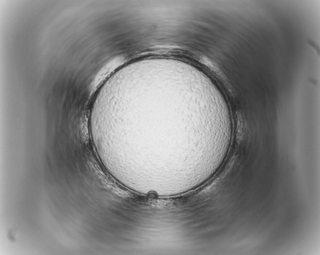 X0000102261362200808151831