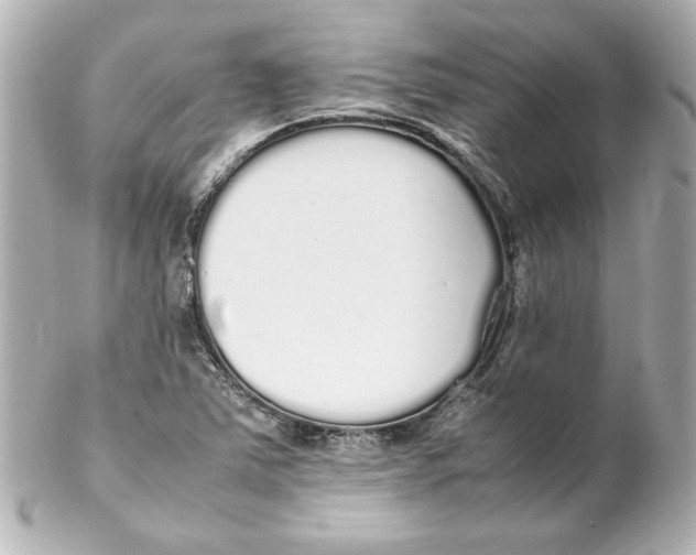 X0000102261363200808151831