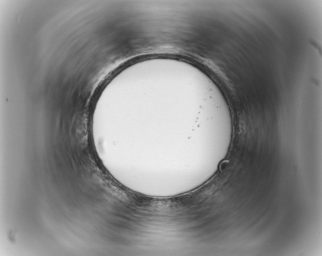 X0000102261364200808151831