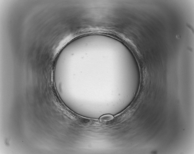 X0000102261365200808151831