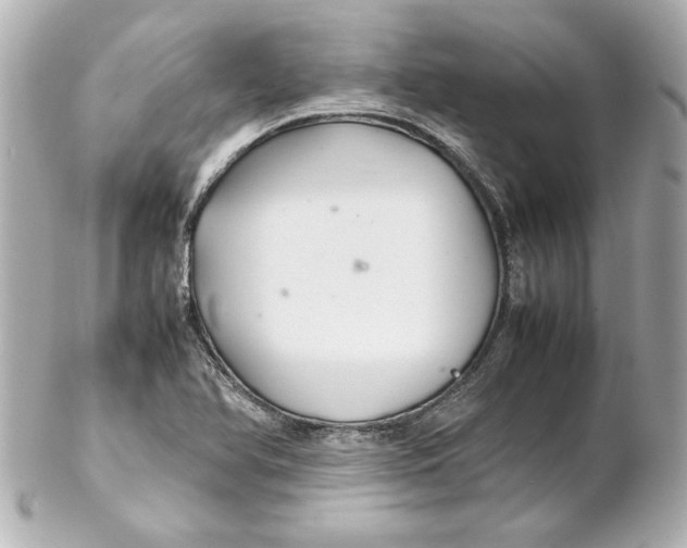 X0000102261366200808151831