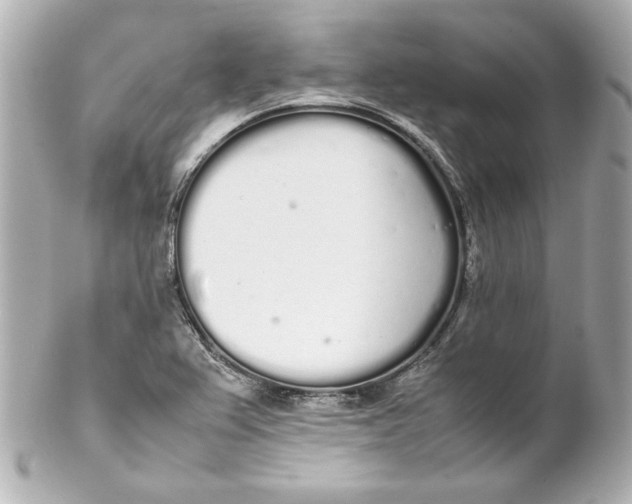 X0000102261367200808151831