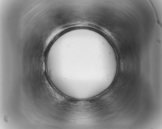 X0000102261368200808151831