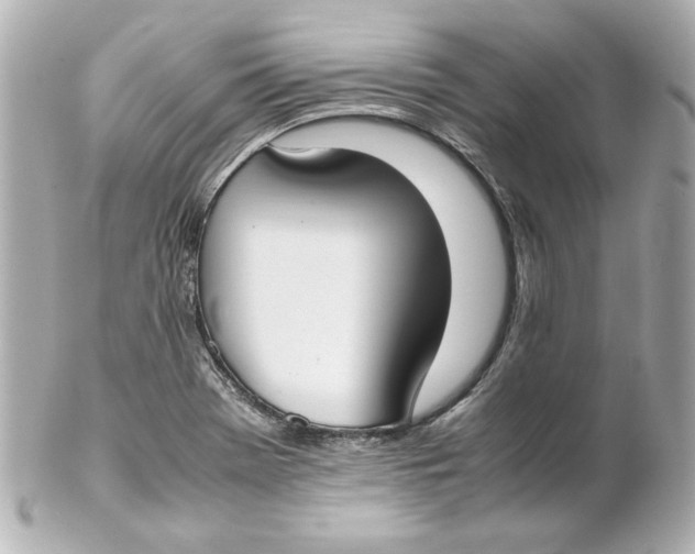 X0000102261369200808151831