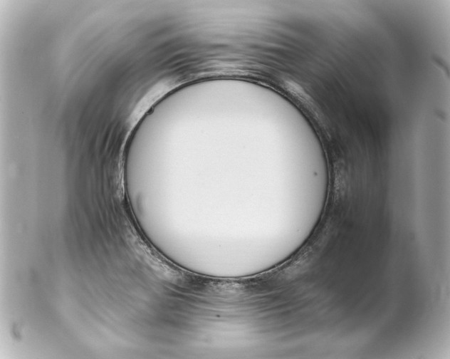 X0000102261370200808151831