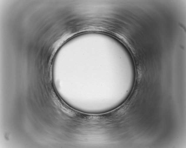 X0000102261371200808151830