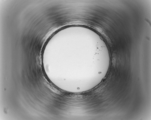 X0000102261372200808151830