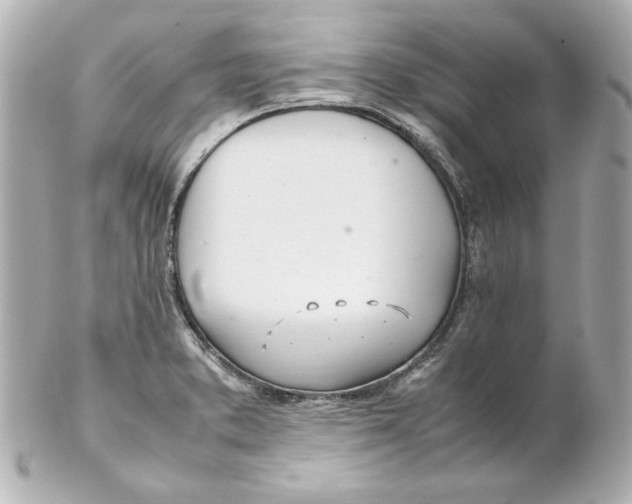 X0000102261373200808151830