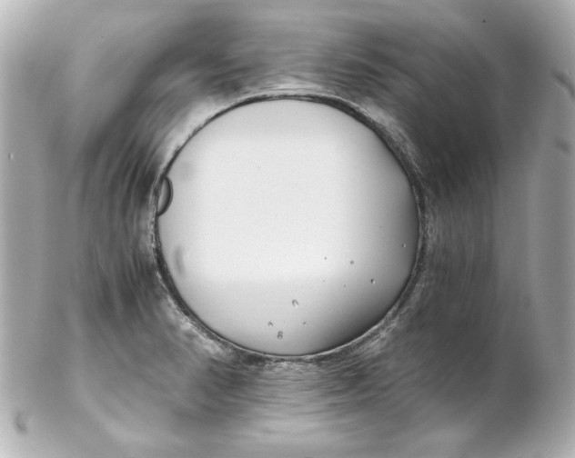 X0000102261374200808151830