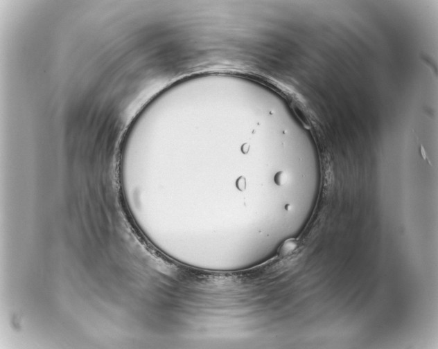 X0000102261375200808151830