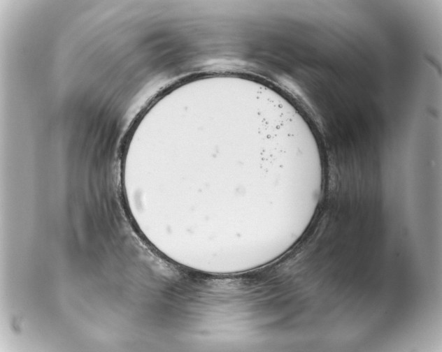 X0000102261376200808151830