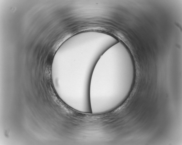 X0000102261377200808151830