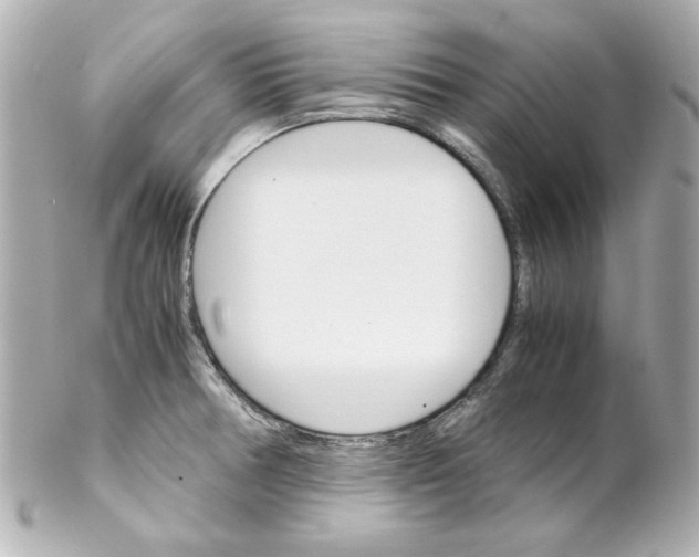 X0000102261378200808151830