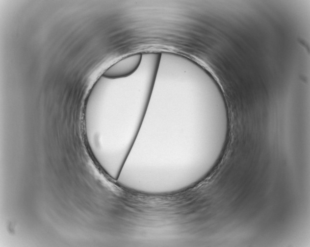 X0000102261379200808151830