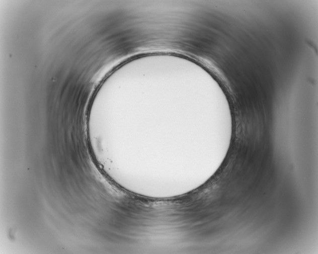 X0000102261380200808151830