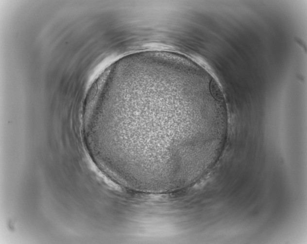 X0000102261381200808151830