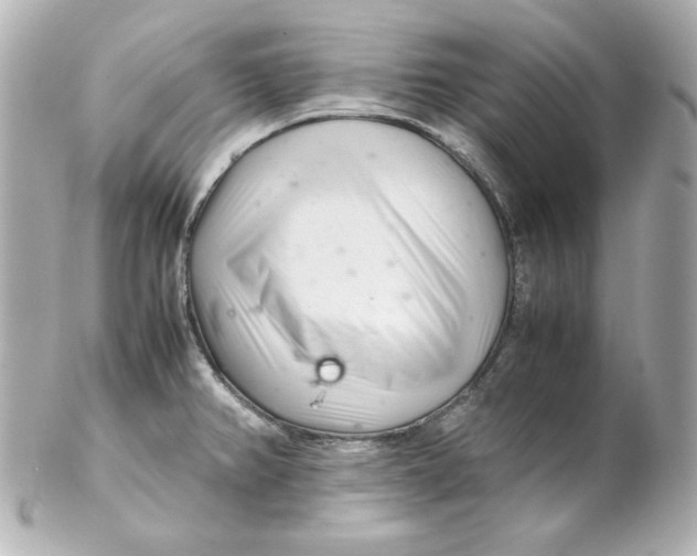 X0000102261382200808151830