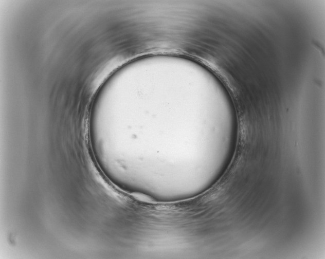 X0000102261383200808151830