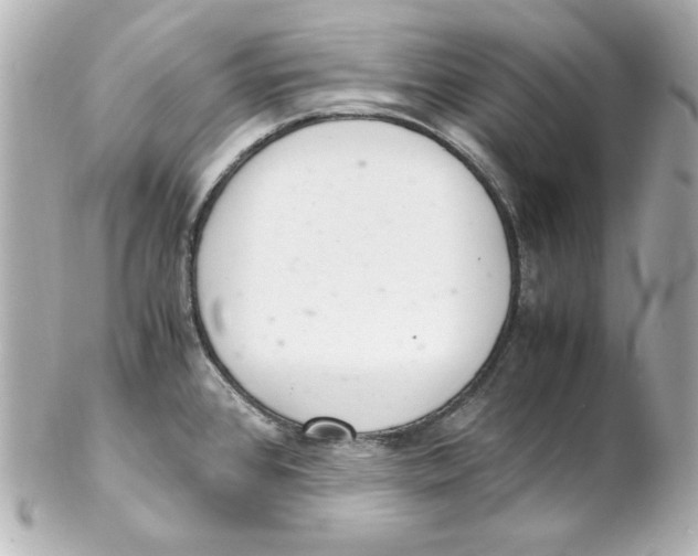 X0000102261384200808151830