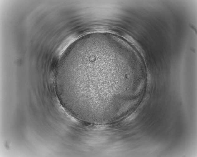 X0000102261385200808151830