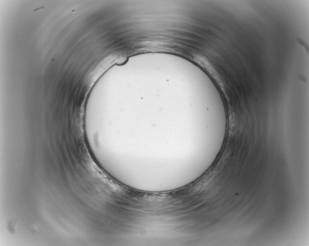 X0000102261386200808151830