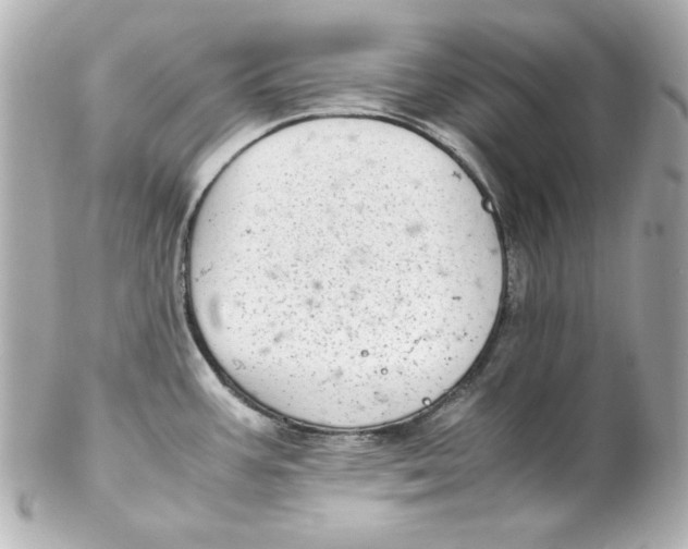 X0000102261387200808151830