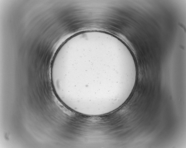 X0000102261388200808151830