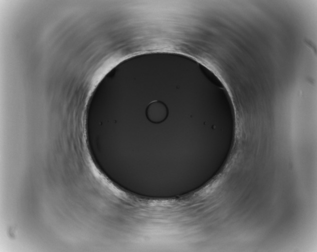 X0000102261389200808151830