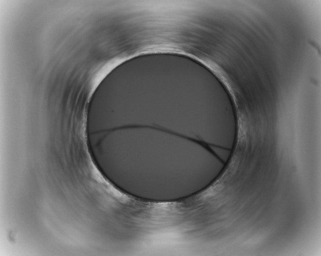 X0000102261390200808151830