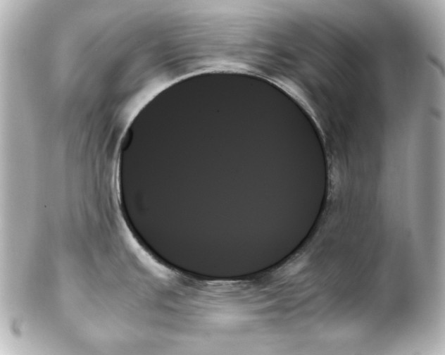 X0000102261391200808151830