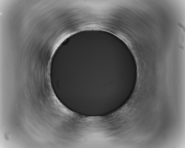 X0000102261392200808151830