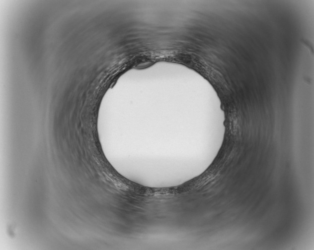 X0000102261393200808151829