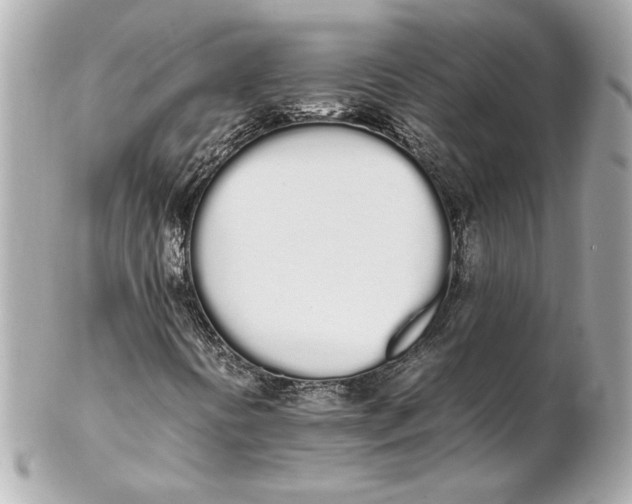 X0000102261394200808151829