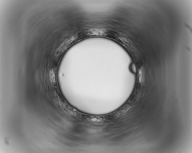 X0000102261395200808151829