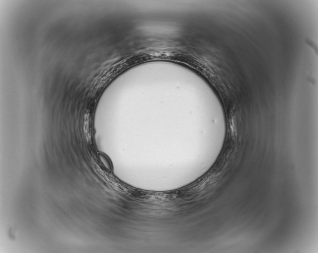 X0000102261396200808151829