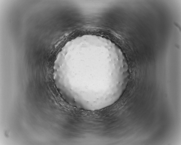 X0000102261397200808151829