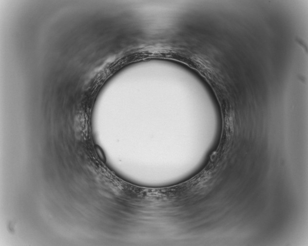 X0000102261398200808151829