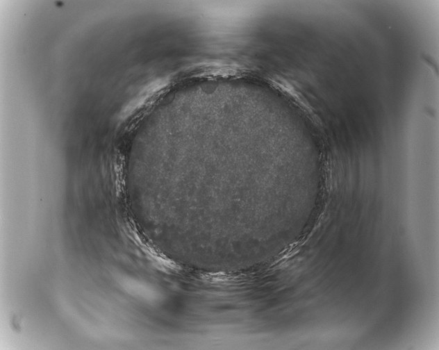 X0000102261399200808151829