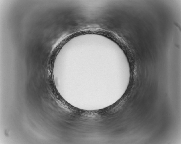 X0000102261400200808151829