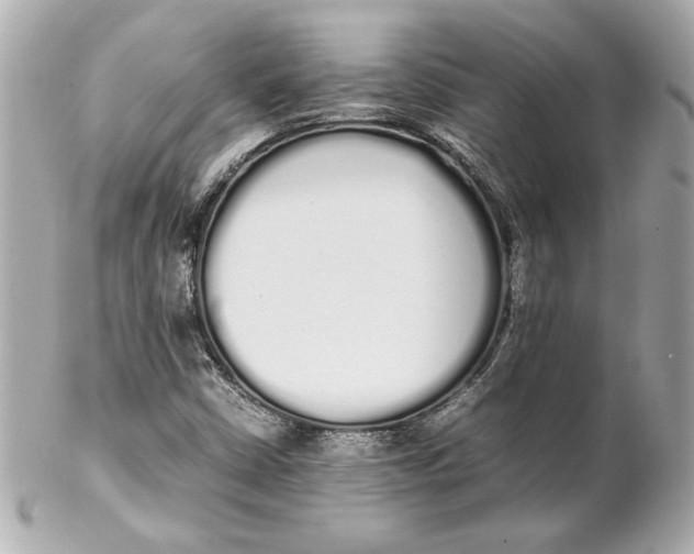 X0000102261402200808151829