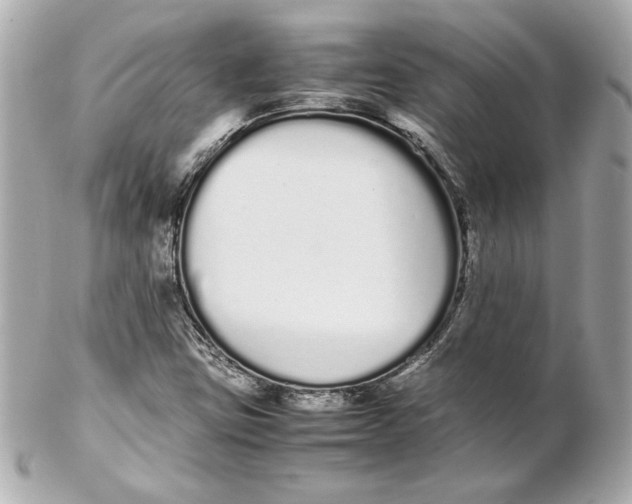 X0000102261403200808151829