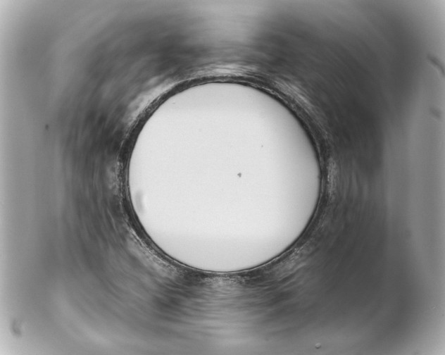 X0000102261404200808151829