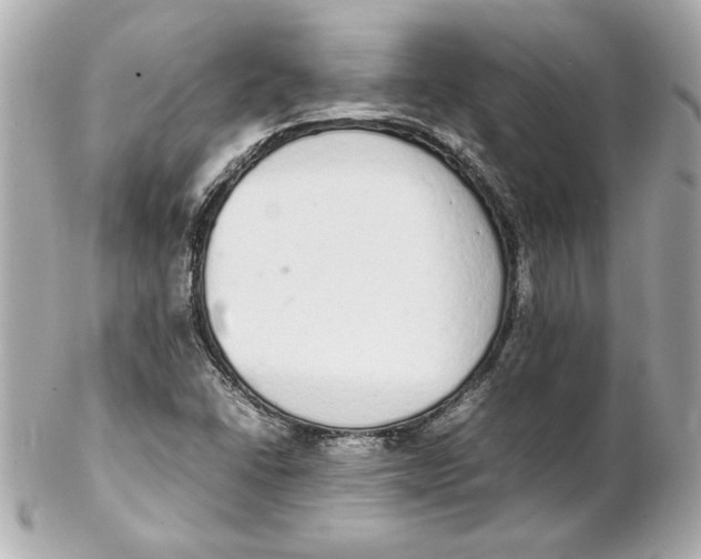 X0000102261406200808151830