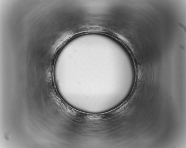 X0000102261407200808151830