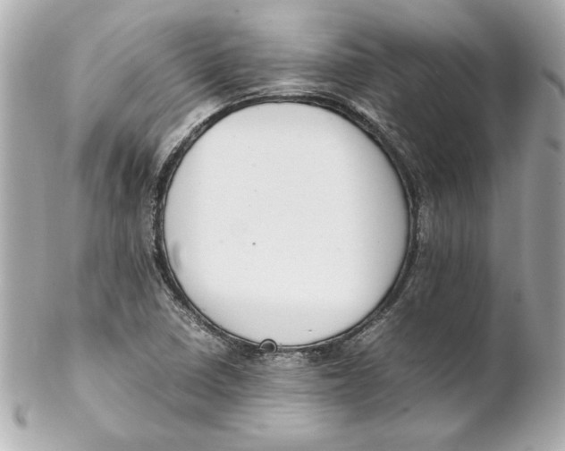 X0000102261410200808151830