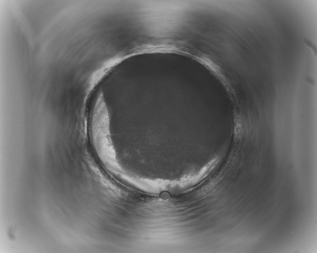 X0000102261414200808151830