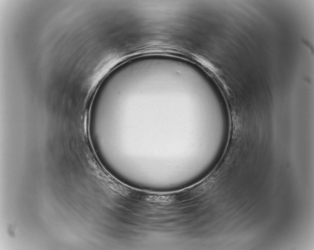 X0000102261415200808151830