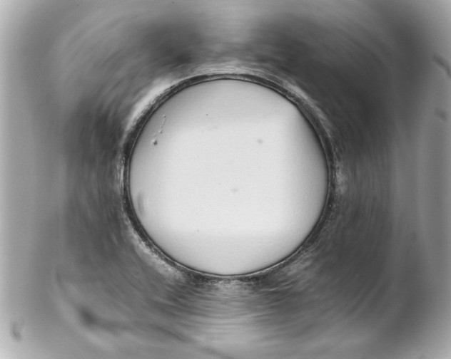 X0000102261416200808151830