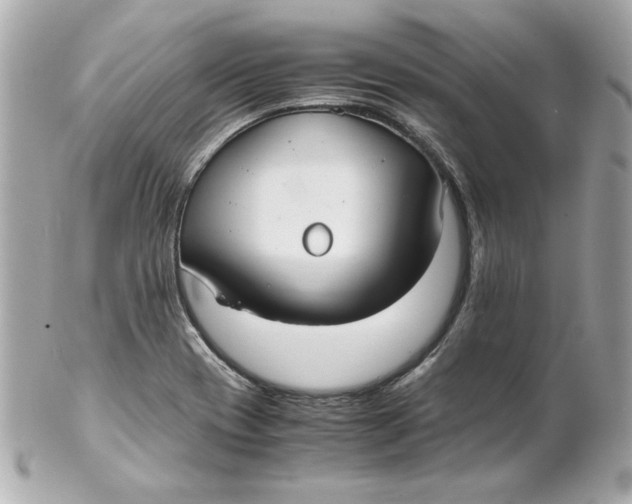 X0000102261417200808151830