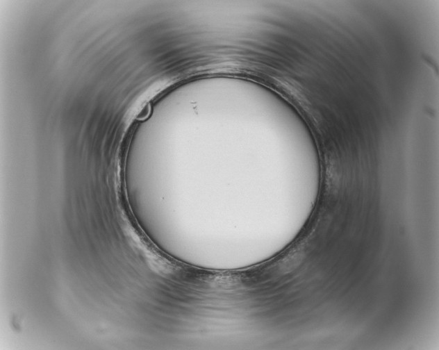 X0000102261418200808151830